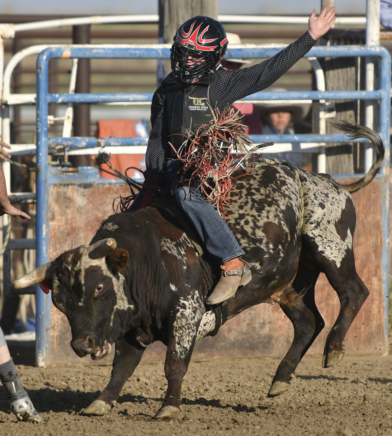 Lincoln County Mini Bull Riding